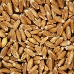 Doudou Bouillotte Epeautre Efie Hippopotame 32 Cm Coton Bio Efie® - Doudou Bio Naturel Efie 7 Doudou Bouillotte Epeautre Efie Hippopotame 32 Cm Coton Bio Efie® - Doudou Bio Naturel Efie -Jouets En Peluche Soldes doudou bouillotte efie hippopotame coton bio organic epeautre doudou bio naturel efie 3